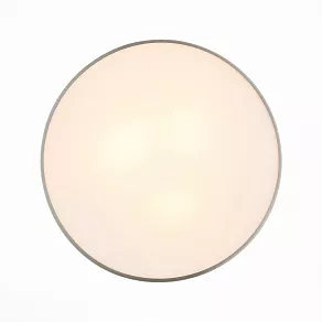 Накладной светильник ST-Luce Bagno SL468.502.03