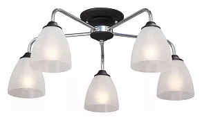 Потолочная люстра Vitaluce  V3946-1/5PL