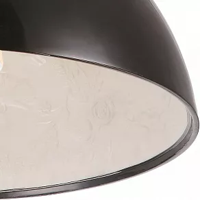 Подвесной светильник Arte Lamp Rome A4176SP-1BK