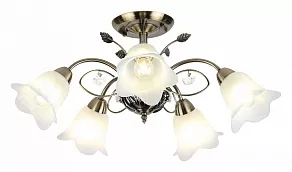 Потолочная люстра Rivoli Giardino S5 AB Б0038452