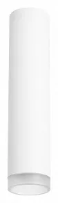 Накладной светильник Lightstar Rullo R49630