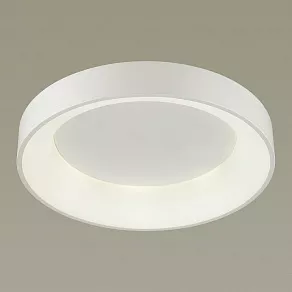 Накладной светильник Odeon Light Sole 4062/40CL