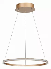 Подвесной светильник ST-Luce ST604 OUT ST604.243.22