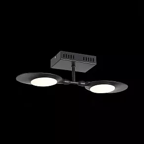 Светильник на штанге ST-Luce Farfalla SL824.401.02