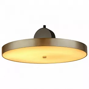 Подвесной светильник L'Arte Luce  L45904 D