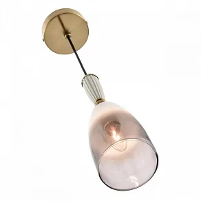 Подвесной светильник Lumion DERBI 8285/1A