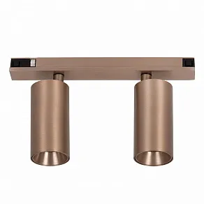 Светильник на штанге Lucide Linial 55901/16/05