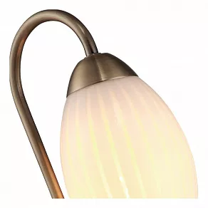 Настольная лампа декоративная Arte Lamp Corniolo A9534LT-1AB