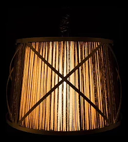 Подвесной светильник Arte Lamp Vitruvio A2805SP-1BK