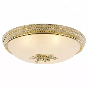 Накладной светильник Arte Lamp Vassolo A9205PL-5GO