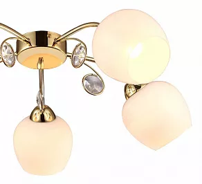 Потолочная люстра Arte Lamp Millo A9549PL-5GO