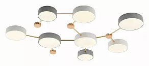 Накладной светильник EVOLUCE Dossena SLE600102-08