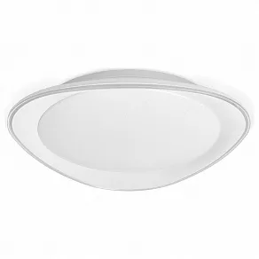 Накладной светильник Ambrella FF FF44