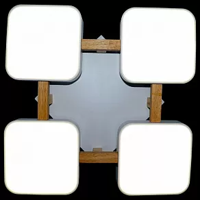 Накладной светильник Natali Kovaltseva 2132 LED LAMPS 81323