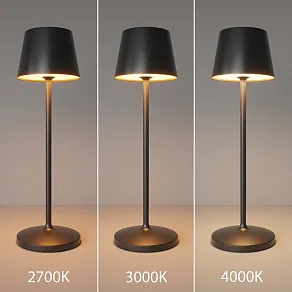 Настольная лампа декоративная Maytoni Nook MOD494RL-L1BK