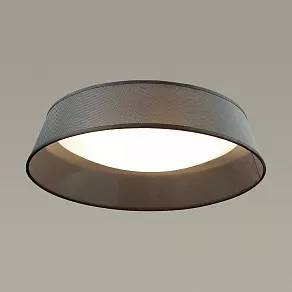 Накладной светильник Odeon Light Sapia 4158/5C