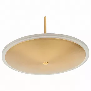 Подвесной светильник L'Arte Luce  L46004