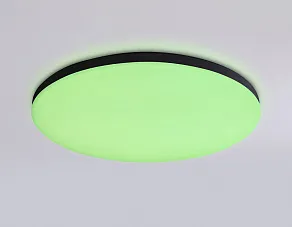 Накладной светильник Ambrella Light FZ FZ2004