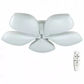 Накладной светильник Lumion Gabriella 3645/60CL