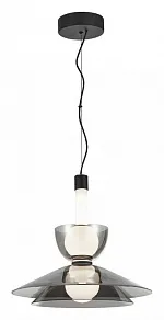 Подвесной светильник Aployt Daga APL.772.16.12