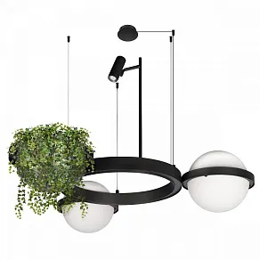 Подвесной светильник Loft it Jardin 10121/2