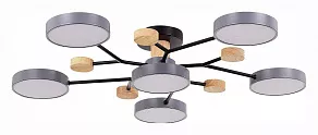 Потолочная люстра EVOLUCE Faema SLE6006-702-06