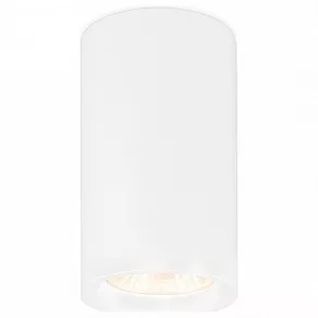 Накладной светильник Ambrella TN TN213133