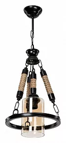 Подвесной светильник TopLight Alanna TL1645H-01BK