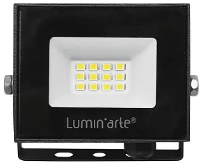 Настенно-потолочный прожектор Luminarte LFL LFL-10W/06