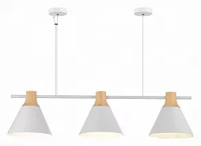 Подвесной светильник EVOLUCE Modica SLE125103-03