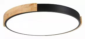 Накладной светильник EVOLUCE Delia SLE201342-01