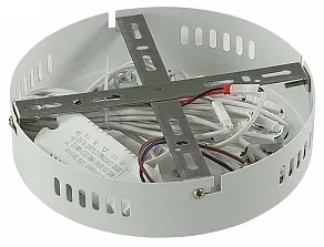 Потолочная люстра Lumion Alberta 8029/65CL