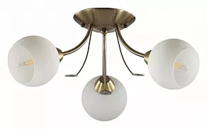 Потолочная люстра Lumion Tula 5265/3C