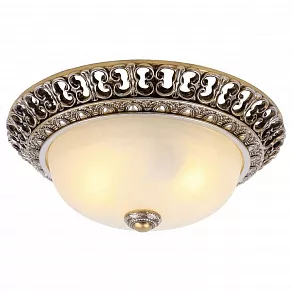 Накладной светильник Arte Lamp Torta A7131PL-2SA