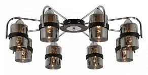 Потолочная люстра EVOLUCE Fiumo SLE102002-08