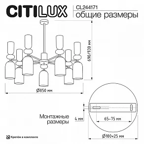 Люстра на штанге Citilux TENDY CL244171
