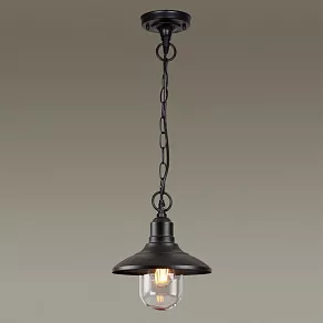 Подвесной светильник Odeon Light Campa 4965/1