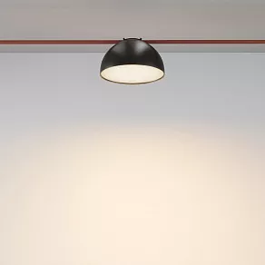 Накладной светильник Maytoni Bowl TR126B-20W3K-B