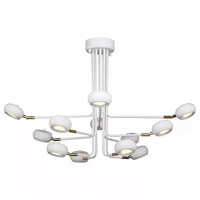 Люстра на штанге Favourite Ellisse 1748-12U