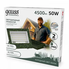 Настенно-потолочный прожектор Gauss  GFD004