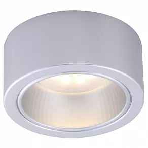 Накладной светильник Arte Lamp Effetto A5553PL-1GY