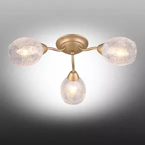 Потолочная люстра Omnilux Miglionico OML-55507-03