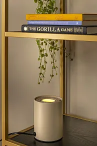 Настольная лампа декоративная Lucide TUBE 22552/05/41