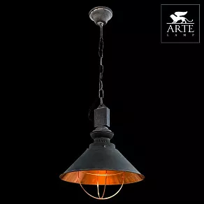 Подвесной светильник Arte Lamp Warhol A5050SP-1BG