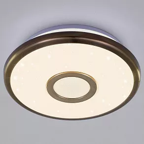 Накладной светильник Citilux Старлайт CL703B13