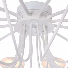 Потолочная люстра Maytoni Austerity MOD342-CL-12-W