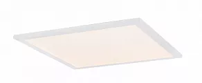 Накладной светильник Globo Rosi 41604D2