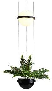 Подвесной светильник Inodesign Palma Palma 44.2238