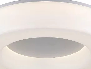 Накладной светильник ST-Luce Lordin SL886.502.01_LED
