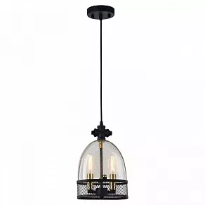 Подвесной светильник Lussole Brighamton GRLSP-9675
